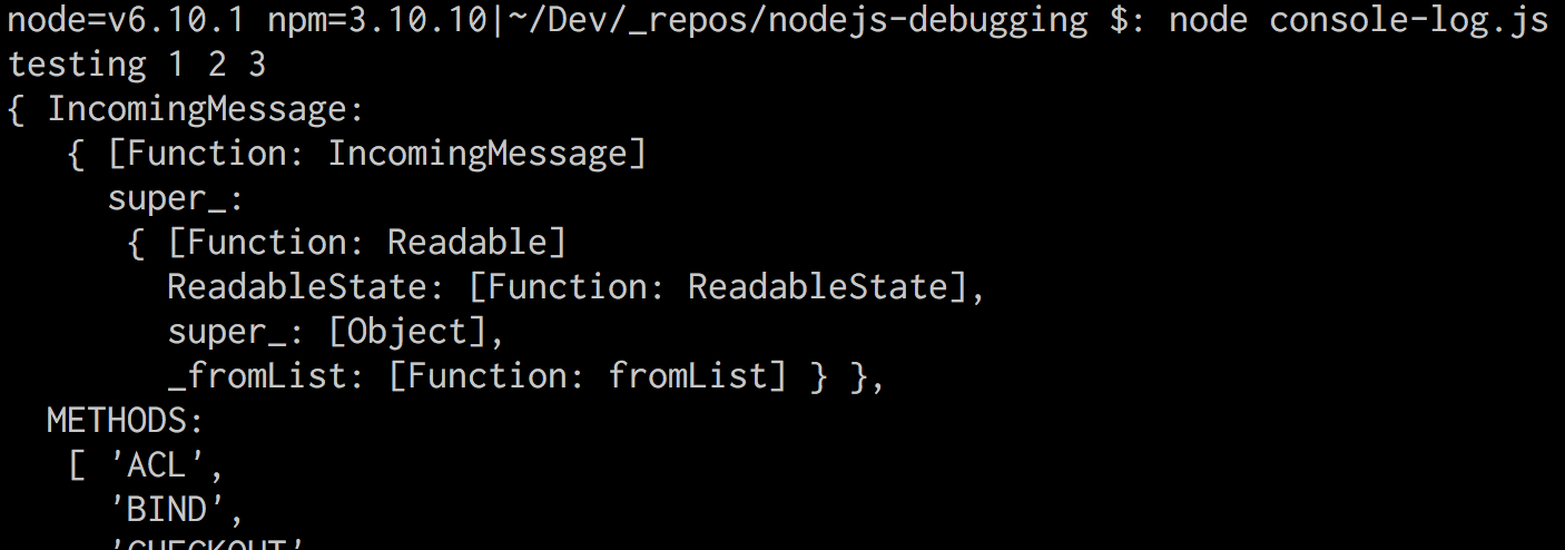 The resulting output in the terminal from the console log statements